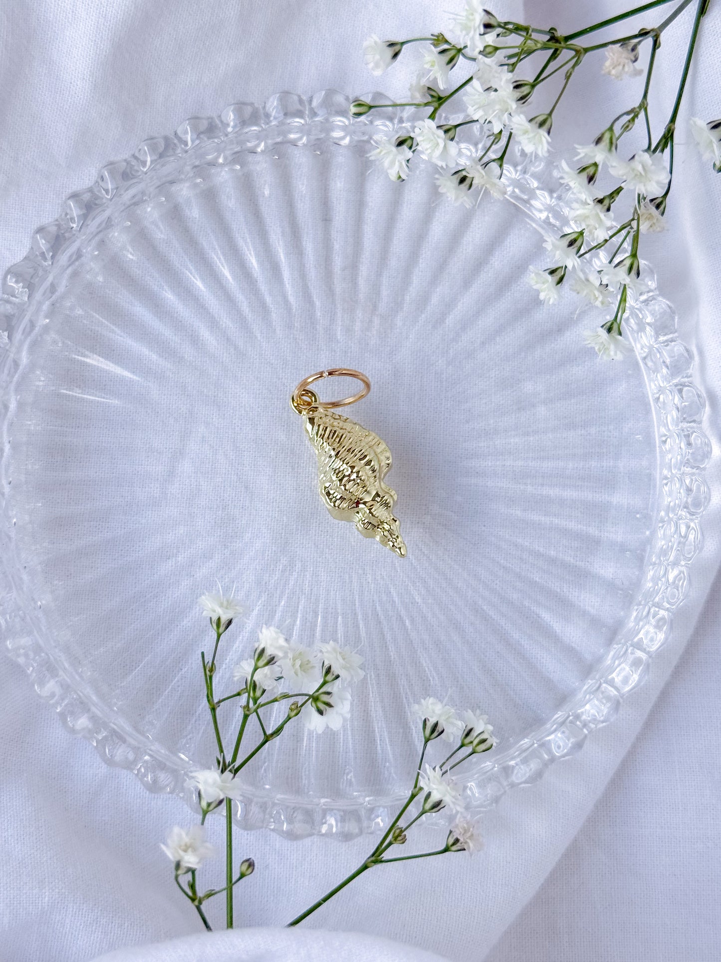 Konkylie Stor Maskemarkør